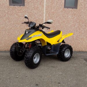 DINLI HELIX 100CC (DL 603)